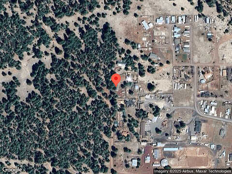 Wildlife, FLAGSTAFF, AZ 86005