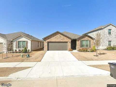 Plumbago, FORT WORTH, TX 76108