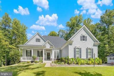 Sweet William, STAFFORD, VA 22554