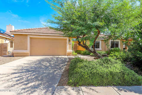 Robb Wash, TUCSON, AZ 85715