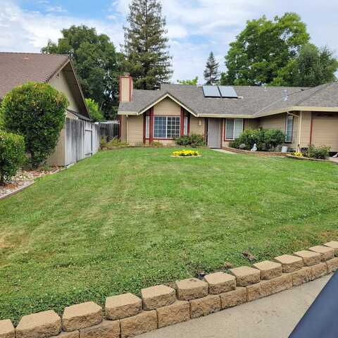 Forgetmenot, CITRUS HEIGHTS, CA 95610