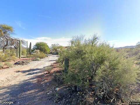 Mountain Lion, TUCSON, AZ 85743