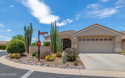 Desert Eagle, MARANA, AZ 85658