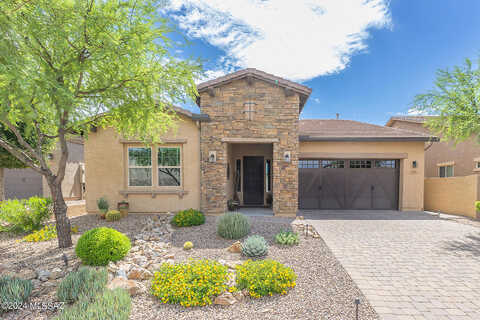 Downy Dalea, TUCSON, AZ 85755