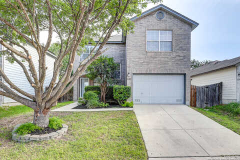 Bushwack, SAN ANTONIO, TX 78254