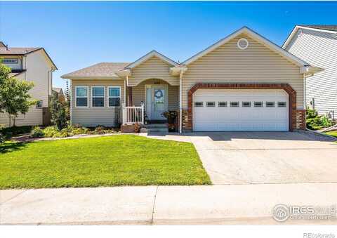 Elgin, FORT COLLINS, CO 80524