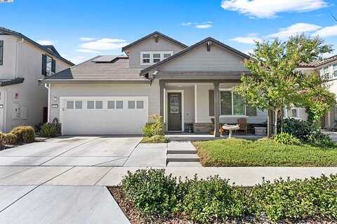 Princess, BRENTWOOD, CA 94513