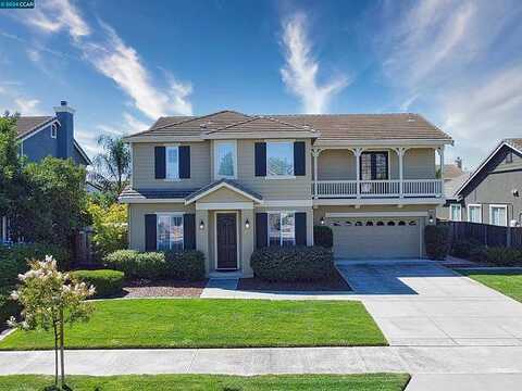 Begonia, BRENTWOOD, CA 94513
