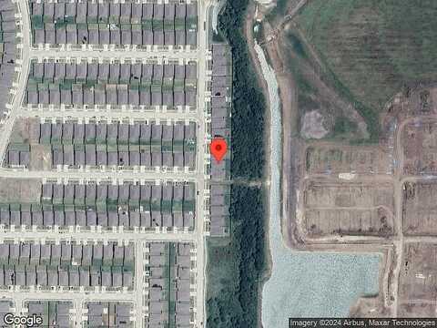 Buttonbush, ROYSE CITY, TX 75189