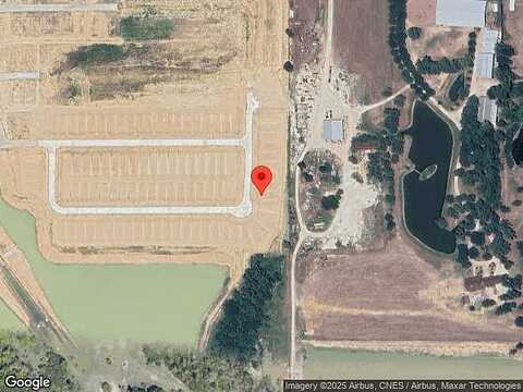 Multiflora, MAGNOLIA, TX 77355