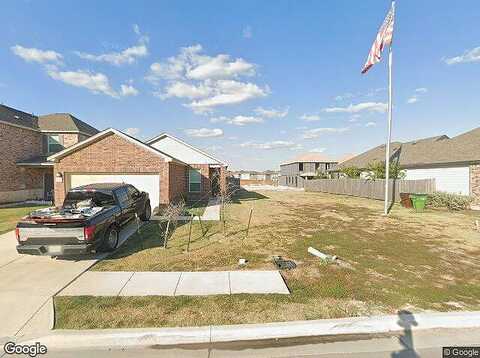 Vigilance, MANOR, TX 78653
