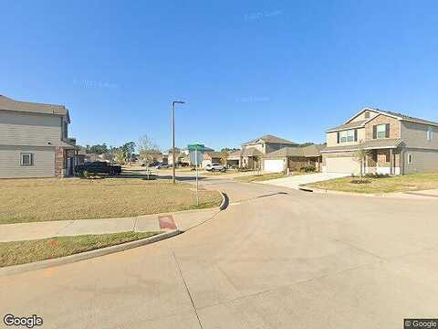Dalloway, MONTGOMERY, TX 77316