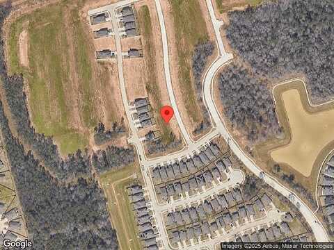 Scarlet Yaupon, CONROE, TX 77301