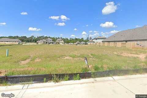 Wandering Brook, MAGNOLIA, TX 77354