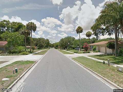 Tbd Palm Avenue, Leesburg, FL 34748
