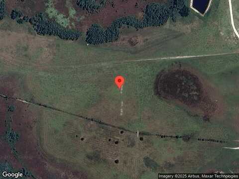 Raised Tulip Lane, Land O Lakes, FL 34637