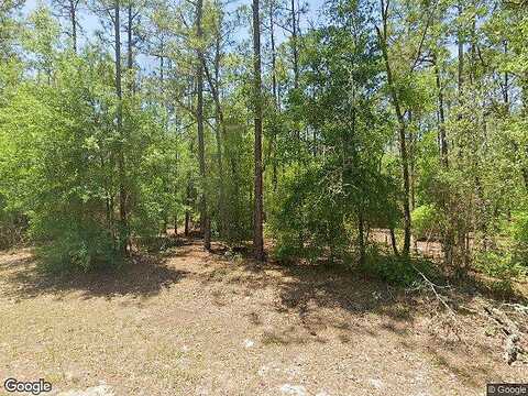 Sw 206Th Court Rd, Dunnellon, FL 34431