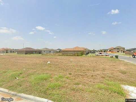 Palmae, Brownsville, TX 78521