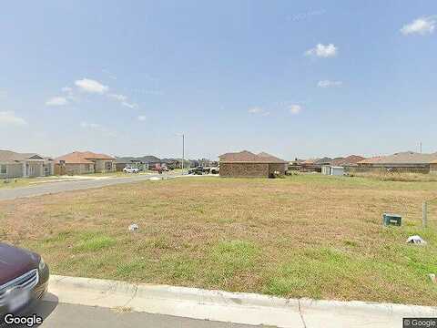 Palmae, Brownsville, TX 78521