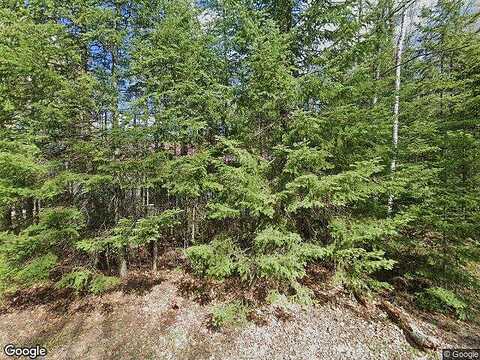 Birch Tree Dr, Eagle River, WI 54521
