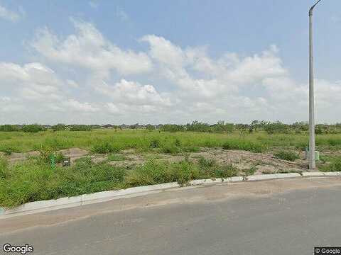 King Palm Loop, Brownsville, TX 78526