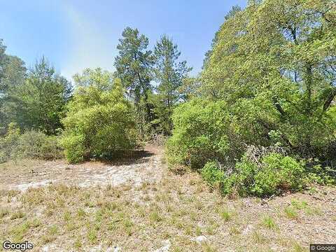 Sw 128Th Street Rd, Ocala, FL 34473