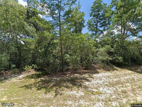 Sw 166Th Ln, Ocala, FL 34473