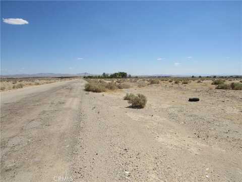 0 0497-211-32-0000 Lenwood Road, Hinkley, CA 92347