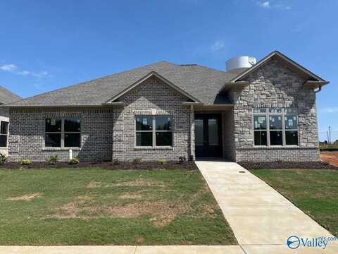 63 Lot Narayan Street, Madison, AL 35756