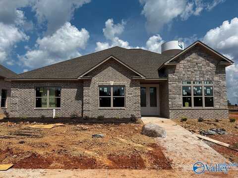 63 Lot Narayan Street, Madison, AL 35756
