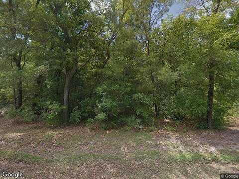 Hunter'S Way N Way Lot 29, Freeport, FL 32439