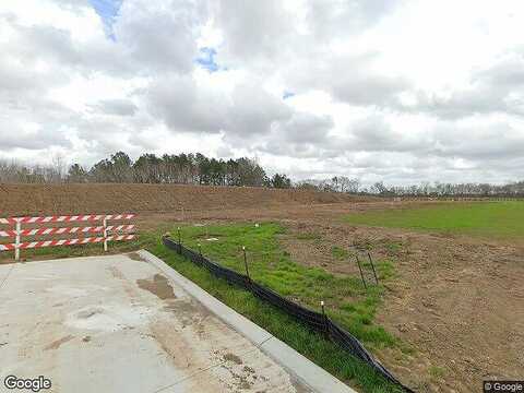 Willow Oak Way, Pearland, TX 77581