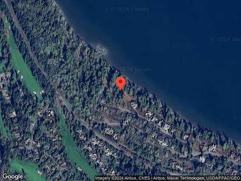 Pine Sisken, BLAINE, WA 98230