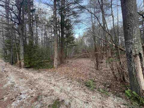 0 Spa Road, Danbury, NH 03230