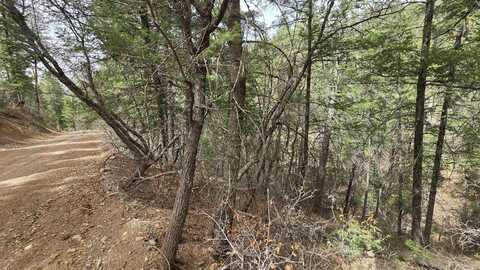Lot2 Running Water Trl, High Rolls Mountain Park, NM 88325