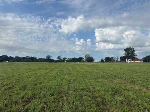 Lot 102 Wildflower Way, Dodd City, TX 75438