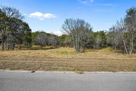 6008 Killmarnoch Drive, Cleburne, TX 76033