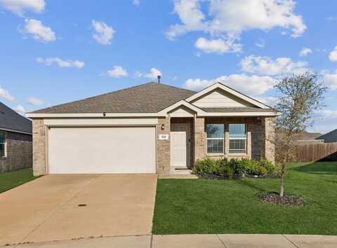 425 Sweet Shade Lane, Princeton, TX 75407