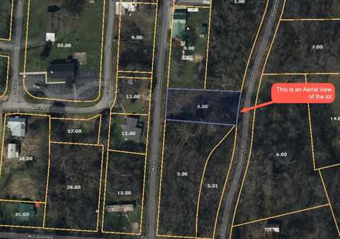 0 Wallace Street, Cumberland City, TN 37050