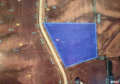 2321 Olof Krans Avenue, Galva, IL 61434