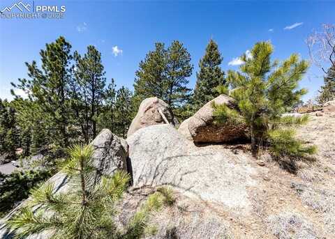 110 La Abu Trail, Florissant, CO 80816