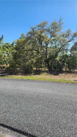 undefined, Dunnellon, FL 34433