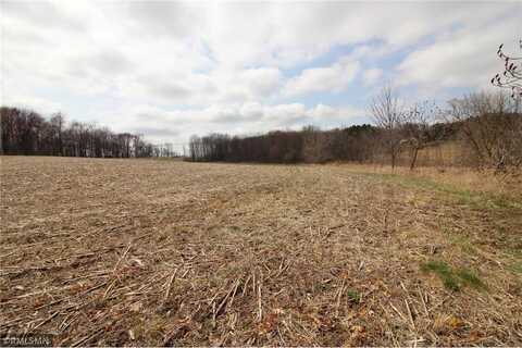 Xxx 690th Street, Martell Twp, WI 54022