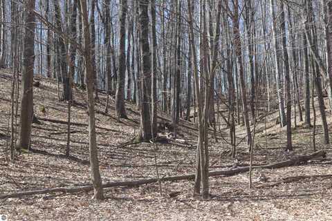 lot 22 Crystal View Commons, Beulah, MI 49617