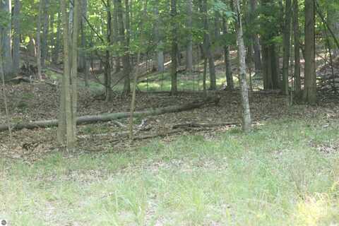 lot 22 Crystal View Commons, Beulah, MI 49617