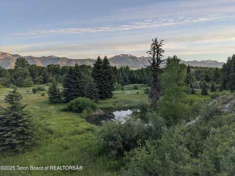 580 S SWAN Road, Jackson, WY 83001