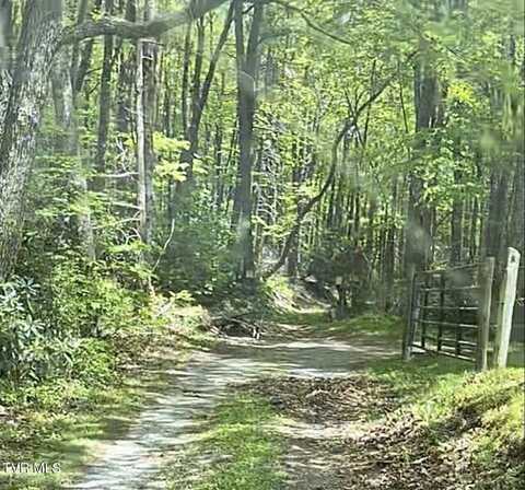 1259 Heaton Branch Road, Butler, TN 37640