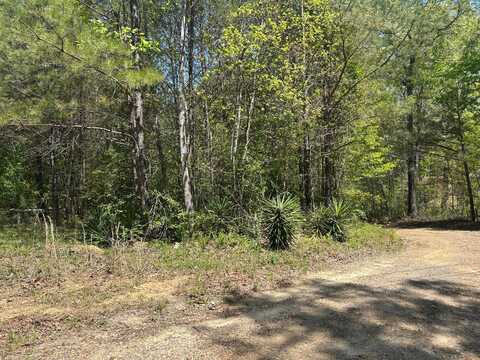 LOTS 1 & 2 PINE CIRCLE, Jasper, AL 35503
