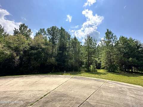 90 Dana'S Way Way, Columbia, NC 27925