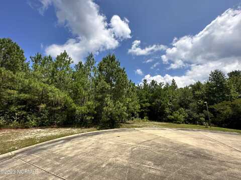 88 Dana'S Way Way, Columbia, NC 27925